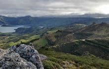Ōtepatotu Scenic Reserve walk