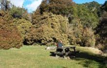 Mt Nimrod Campsite
