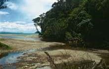 Papa Aroha Walk