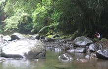 Manganuku Track