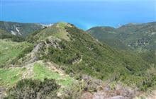 Okiwi Bay Seaward Valley Track
