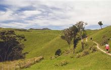 Pūponga Hilltop Walk