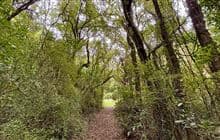 Gunns Bush Track