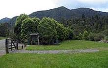Totara Flat Campsite