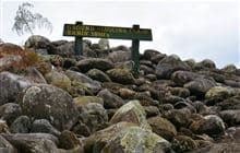 Aorere Goldfields Track