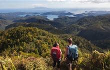 Peach Tree Track to Mt Hobson (Hirakimata)