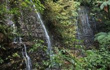 Barrs Falls (Barrs Falls Scenic Reserve)