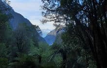 Fox Glacier South Side Walkway/Cycleway