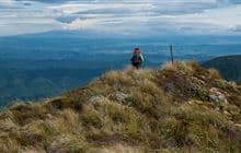 Purity Hut Track