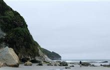 Fossil Point Track
