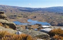 Flat Top Hill Tramping Track