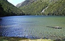 Lake Rere Walk