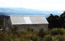 Kauritatahi Hut