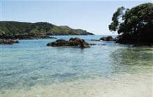 Maitai Bay Campsite 