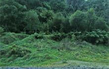 Ngaporo Campsite