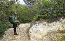 Dobson Loop Track