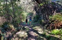 Kidds Bush Nature Walk