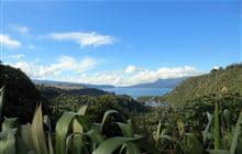Tarawera Trail