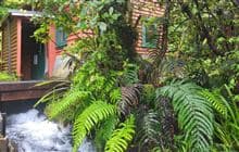 Dawson Falls Power Station Track