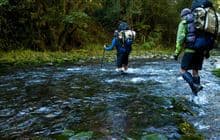 Pearse Valley Route to Pearse River Resurgence