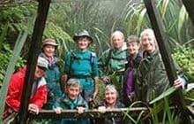 Dome Forest car park to Waiwhiu Grove
