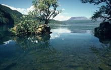 Humphries Bay Campsite