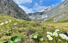 Gertrude Saddle Route