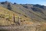 Tinwald Burn Ridge Track