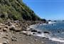 Wharekai-Te Kou Walk