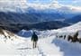 Roys Peak Track