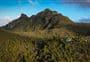 Kauaeranga Kauri Trail (Pinnacles Walk)