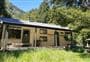 Trevor Carter Hut