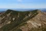 Lakes Carpark Loop – Rogue Ridge/Cooks Horn