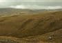 Kopuwai Track to Sisters Track