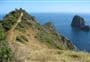 Cape Brett Track
