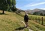 Kaituna Valley Packhorse Hut Track