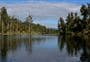 Arnold River Dam Walk