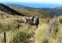 Silverpeaks Circuit Track