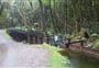 Kaniere Water Race Walkway 