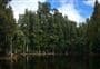Waihora Lagoon Walk