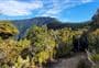 Mount Robertson tracks