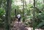 Ōkura Bush Walkway