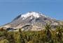 West Egmont tramping tracks