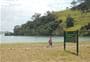 Pataua Island Track