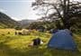 Whakahoro Campsite