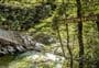 Waikaia River Track