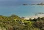 Motukawanui Island Track 