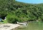Nikau Cove Campsite