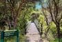 Nga Taonga Nature Walk