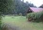 Waiharuru Campsite